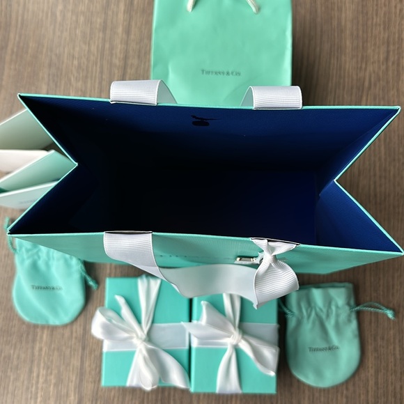 Tiffany&Co. The Landmark 727 Fifth Ave. New York huge gift bag set w silver tag - Picture 4 of 9